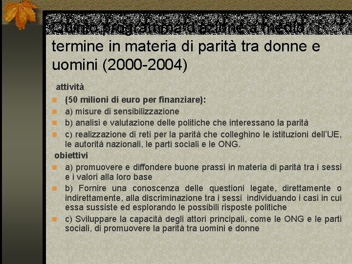 Quinto programma d’azione a medio termine in materia di parità tra donne e uomini