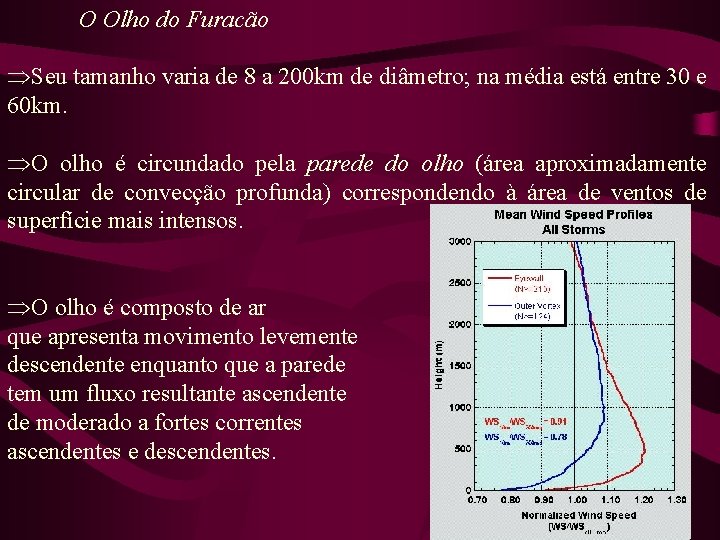 O Olho do Furacão ÞSeu tamanho varia de 8 a 200 km de diâmetro;