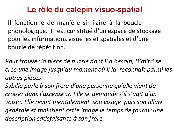 Le rôle du calepin visuo-spatial Il fonctionne de manière similaire à la boucle phonologique.