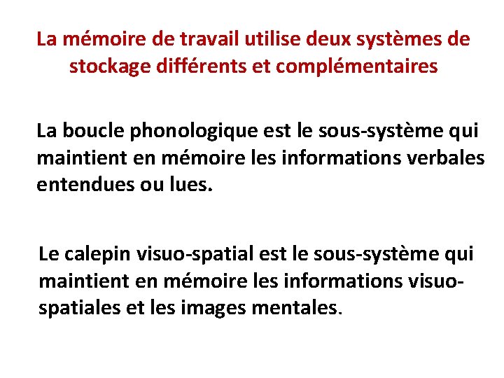 La mémoire de travail utilise deux systèmes de stockage différents et complémentaires La boucle