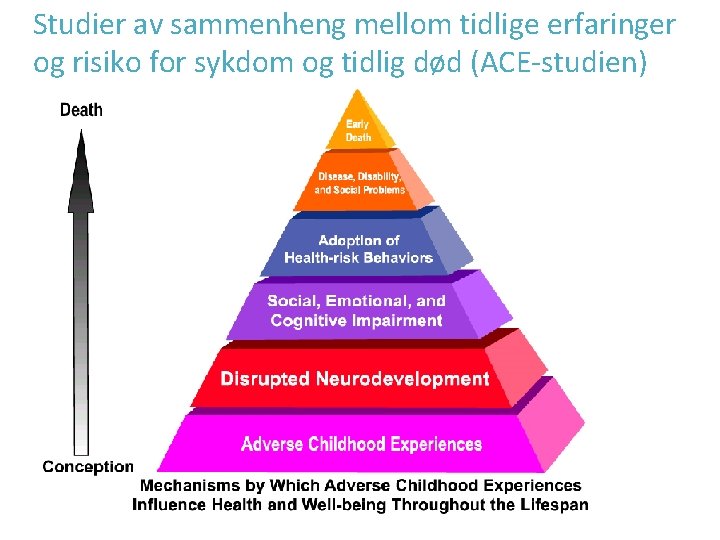 Studier av sammenheng mellom tidlige erfaringer og risiko for sykdom og tidlig død (ACE-studien) Studier av sammenheng mellom tidlige erfaringer og risiko for sykdom og tidlig død (ACE-studien)