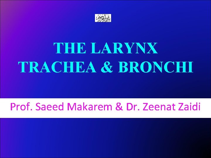 THE LARYNX TRACHEA & BRONCHI Prof. Saeed Makarem & Dr. Zeenat Zaidi 