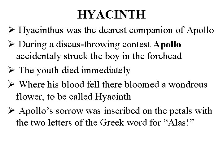 HYACINTH Ø Hyacinthus was the dearest companion of Apollo Ø During a discus-throwing contest
