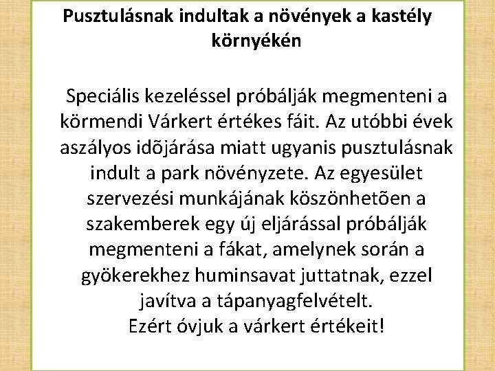 Pusztulásnak indultak a növények a kastély környékén Speciális kezeléssel próbálják megmenteni a körmendi Várkert