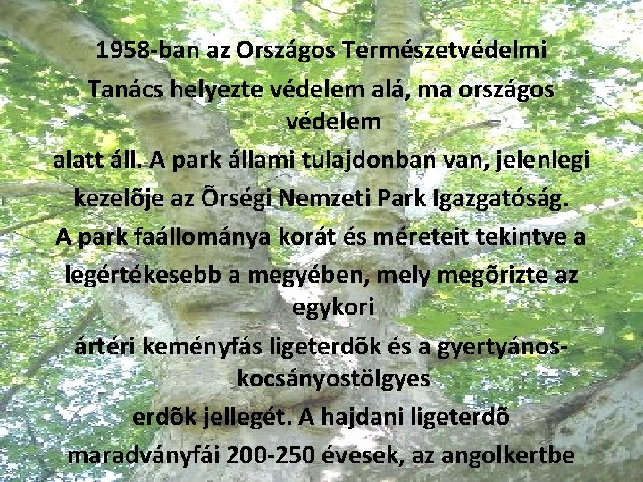 1958 -ban az Országos Természetvédelmi Tanács helyezte védelem alá, ma országos védelem alatt áll.