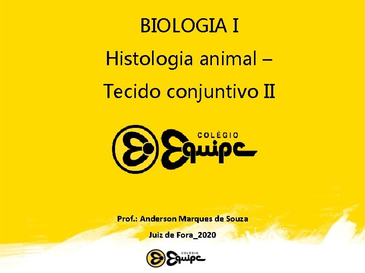 BIOLOGIA I Histologia animal – Tecido conjuntivo II Prof. : Anderson Marques de Souza