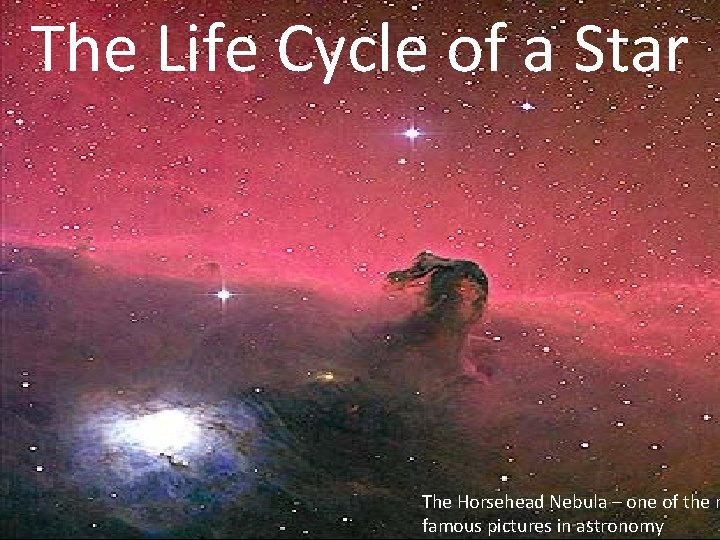 The Life Cycle of a Star The Horsehead Nebula – one of the m The Life Cycle of a Star The Horsehead Nebula – one of the m
