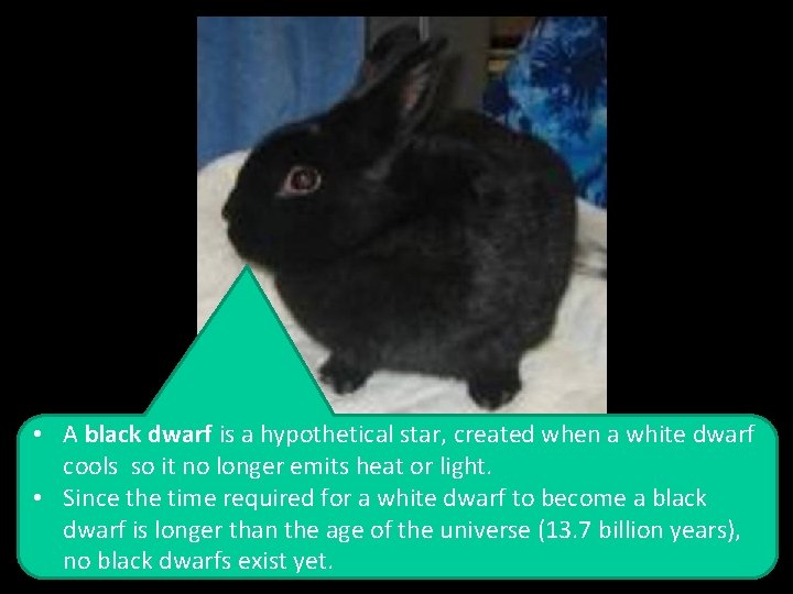 • A black dwarf is a hypothetical star, created when a white dwarf • A black dwarf is a hypothetical star, created when a white dwarf