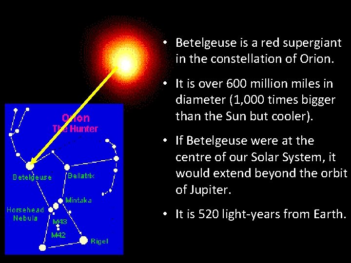 • Betelgeuse is a red supergiant in the constellation of Orion. • It • Betelgeuse is a red supergiant in the constellation of Orion. • It