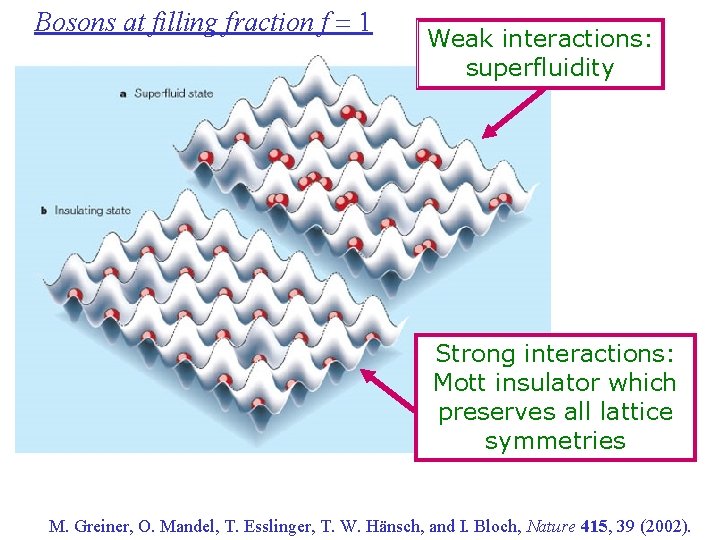Bosons at filling fraction f = 1 Weak interactions: superfluidity Strong interactions: Mott insulator