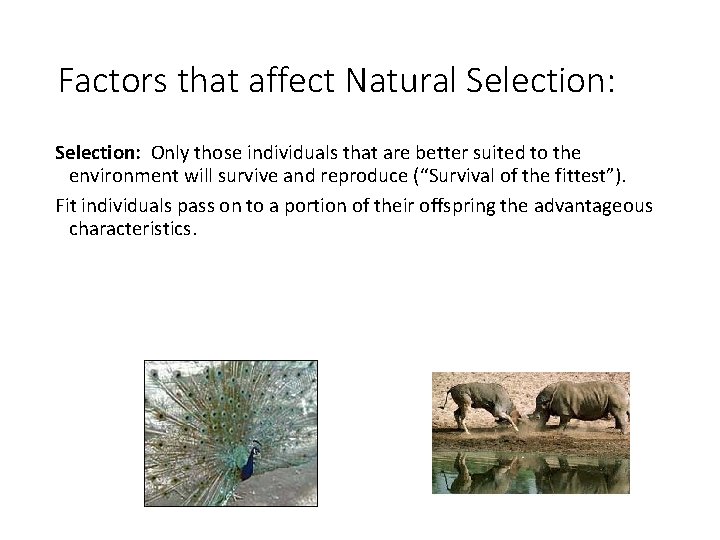 Factors that affect Natural Selection: Only those individuals that are better suited to the