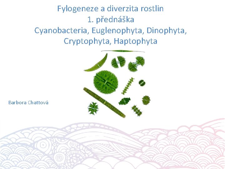 Fylogeneze a diverzita rostlin 1. přednáška Cyanobacteria, Euglenophyta, Dinophyta, Cryptophyta, Haptophyta Barbora Chattová 