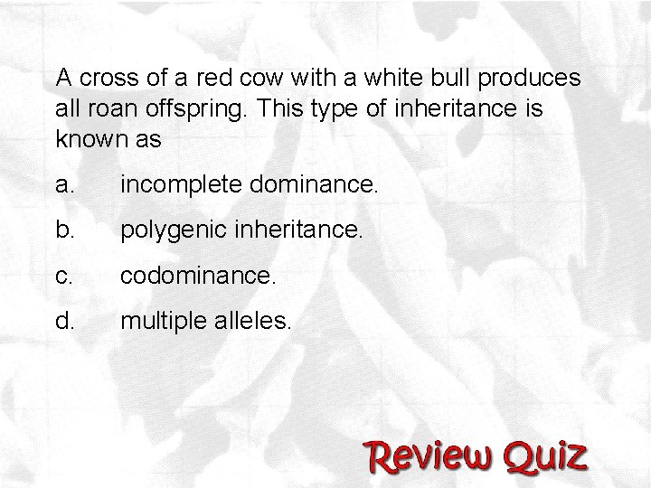 A cross of a red cow with a white bull produces all roan offspring.