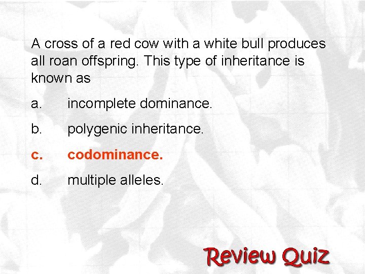 A cross of a red cow with a white bull produces all roan offspring.
