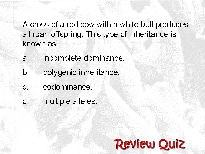 A cross of a red cow with a white bull produces all roan offspring.