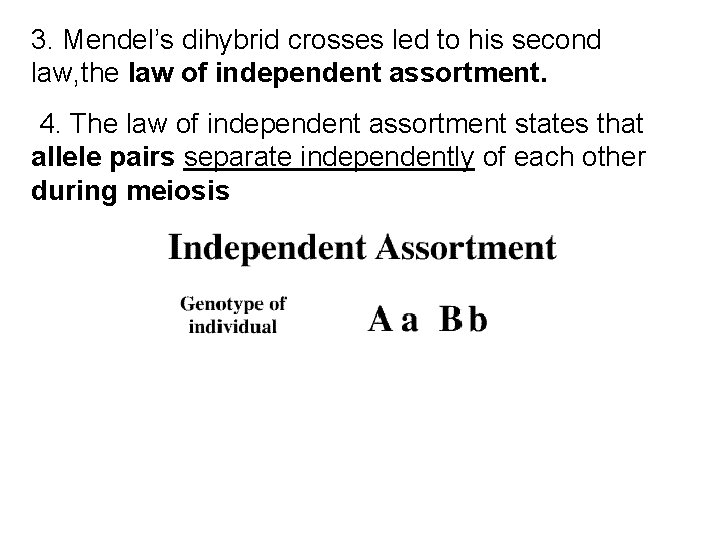 3. Mendel’s dihybrid crosses led to his second law, the law of independent assortment.