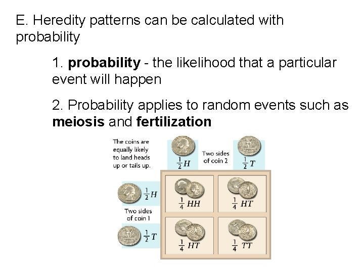 E. Heredity patterns can be calculated with probability 1. probability - the likelihood that