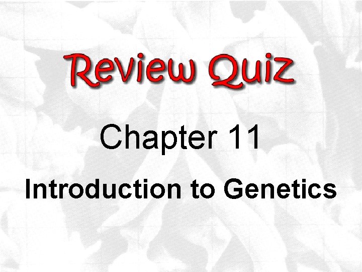 Chapter 11 Introduction to Genetics 