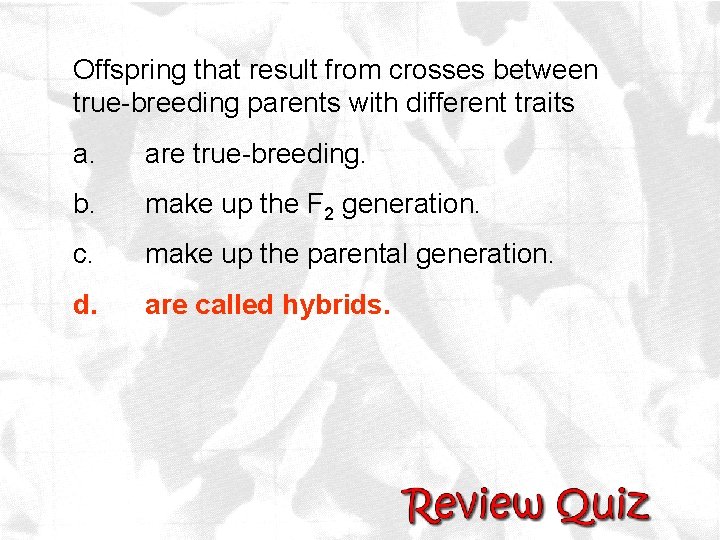 Offspring that result from crosses between true-breeding parents with different traits a. are true-breeding.