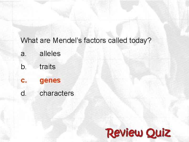 What are Mendel’s factors called today? a. alleles b. traits c. genes d. characters