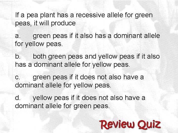 If a pea plant has a recessive allele for green peas, it will produce