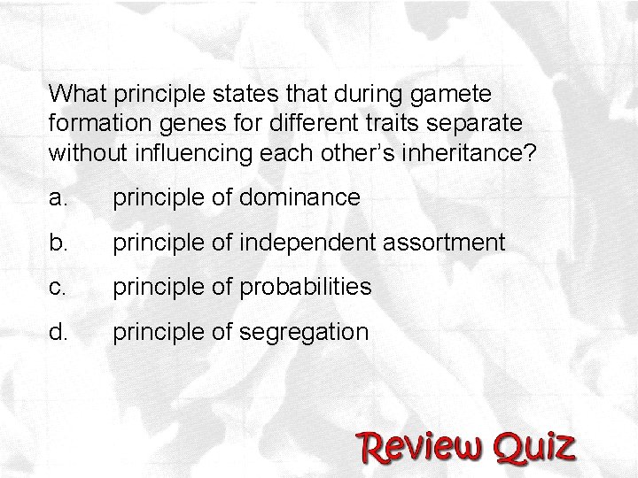 What principle states that during gamete formation genes for different traits separate without influencing