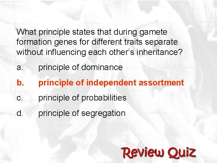 What principle states that during gamete formation genes for different traits separate without influencing