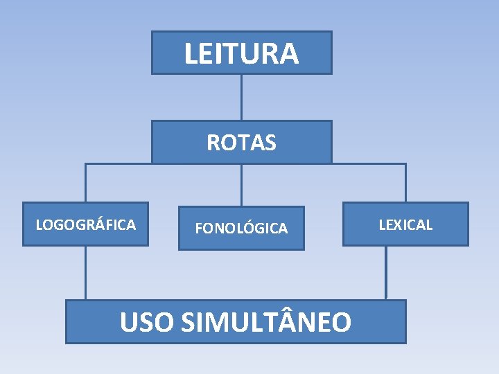 LEITURA ROTAS LOGOGRÁFICA FONOLÓGICA USO SIMULT NEO LEXICAL 