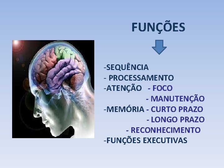 FUNÇÕES -SEQUÊNCIA - PROCESSAMENTO -ATENÇÃO - FOCO - MANUTENÇÃO -MEMÓRIA - CURTO PRAZO -