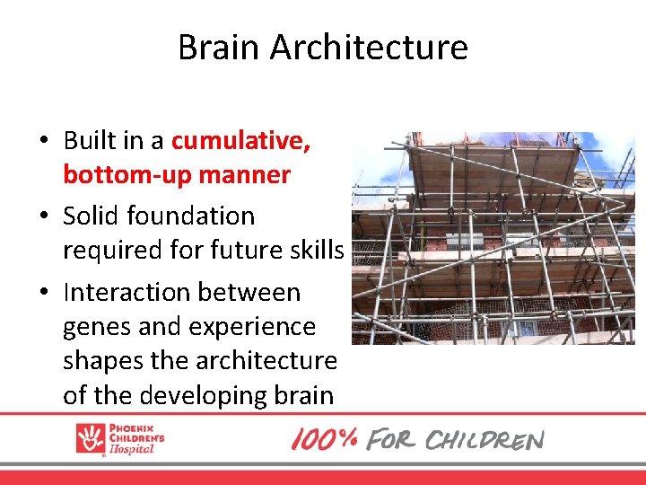 Brain Architecture • Built in a cumulative, bottom-up manner • Solid foundation required for