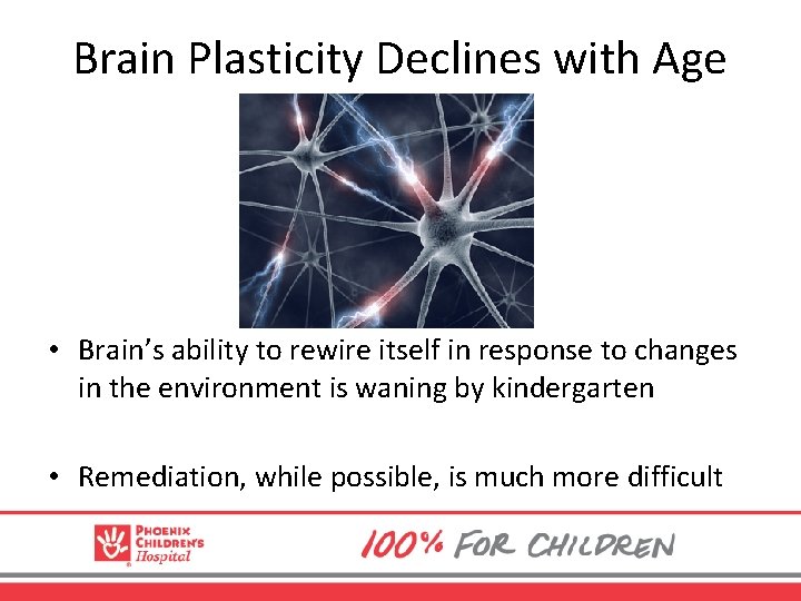 Brain Plasticity Declines with Age • Brain’s ability to rewire itself in response to