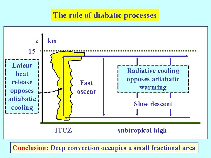 The role of diabatic processes z km 15 Latent heat release opposes adiabatic cooling