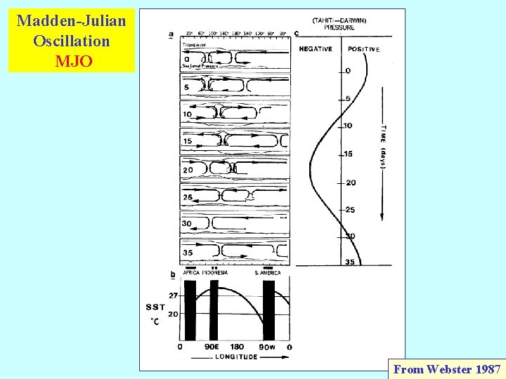 Madden-Julian Oscillation MJO From Webster 1987 