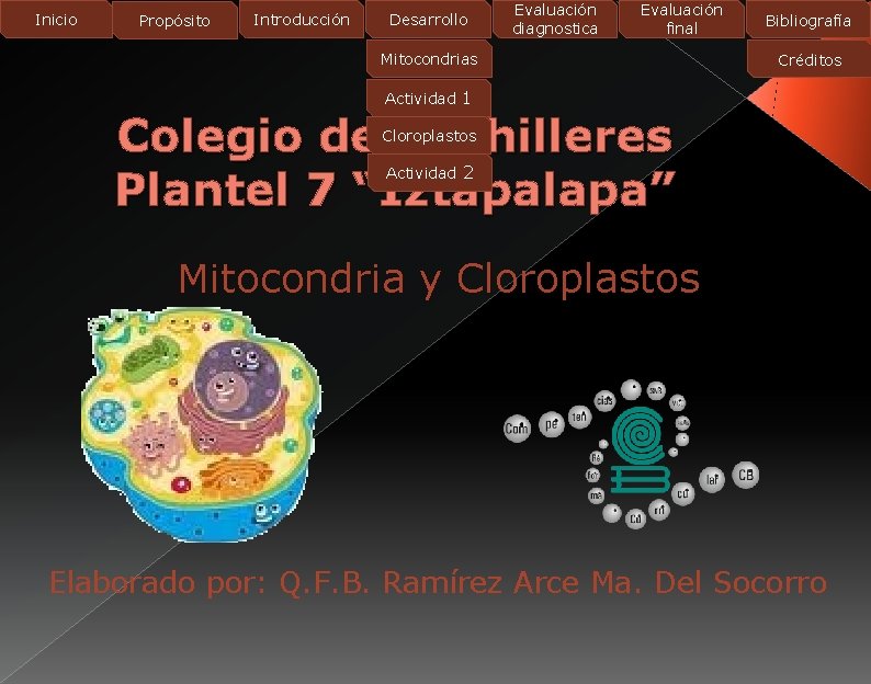 Inicio Propósito Introducción Desarrollo Evaluación diagnostica Evaluación final Mitocondrias Bibliografía Créditos Actividad 1 Colegio