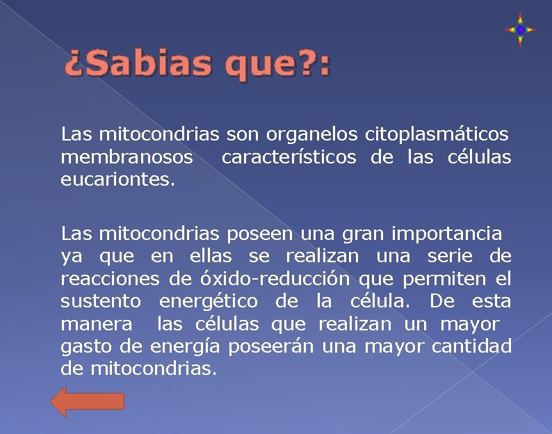 ¿Sabias que? : Las mitocondrias son organelos citoplasmáticos membranosos característicos de las células eucariontes.