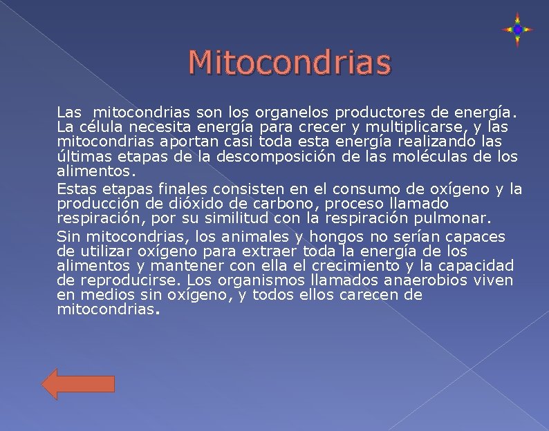 Mitocondrias Las mitocondrias son los organelos productores de energía. La célula necesita energía para