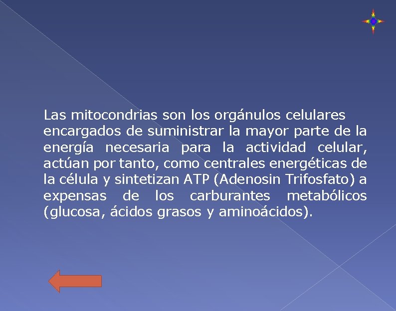 Las mitocondrias son los orgánulos celulares encargados de suministrar la mayor parte de la