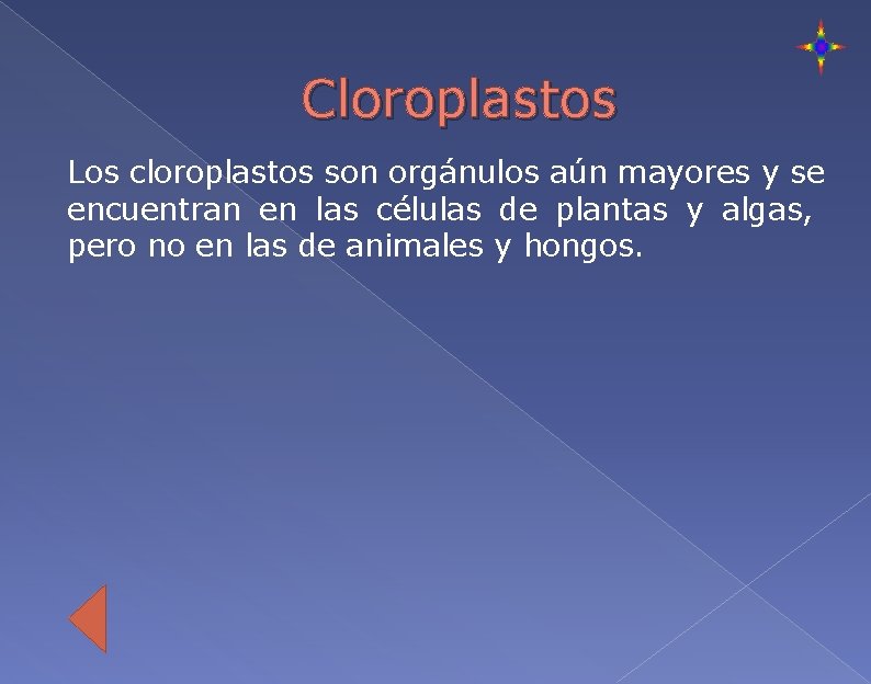 Cloroplastos Los cloroplastos son orgánulos aún mayores y se encuentran en las células de