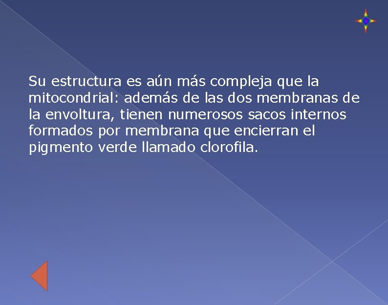 Su estructura es aún más compleja que la mitocondrial: además de las dos membranas