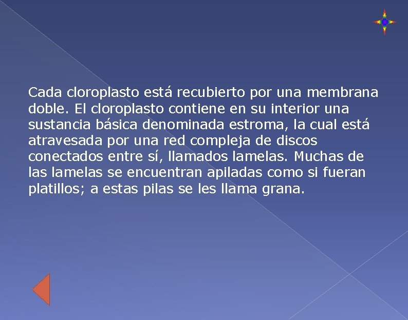 Cada cloroplasto está recubierto por una membrana doble. El cloroplasto contiene en su interior