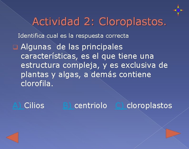 Actividad 2: Cloroplastos. Identifica cual es la respuesta correcta q Algunas de las principales
