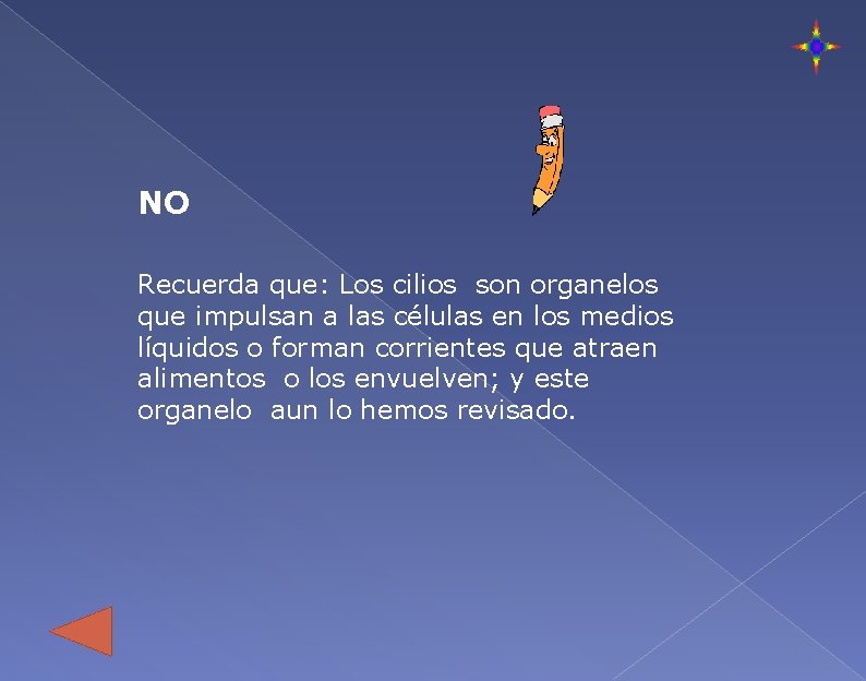 NO Recuerda que: Los cilios son organelos que impulsan a las células en los