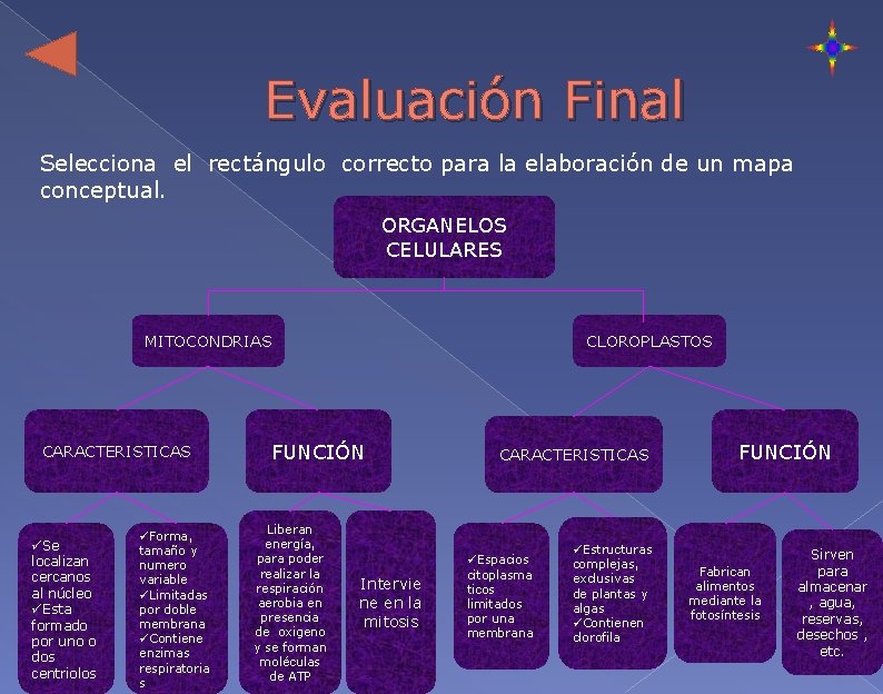  Evaluación Final Selecciona el rectángulo correcto para la elaboración de un mapa conceptual.