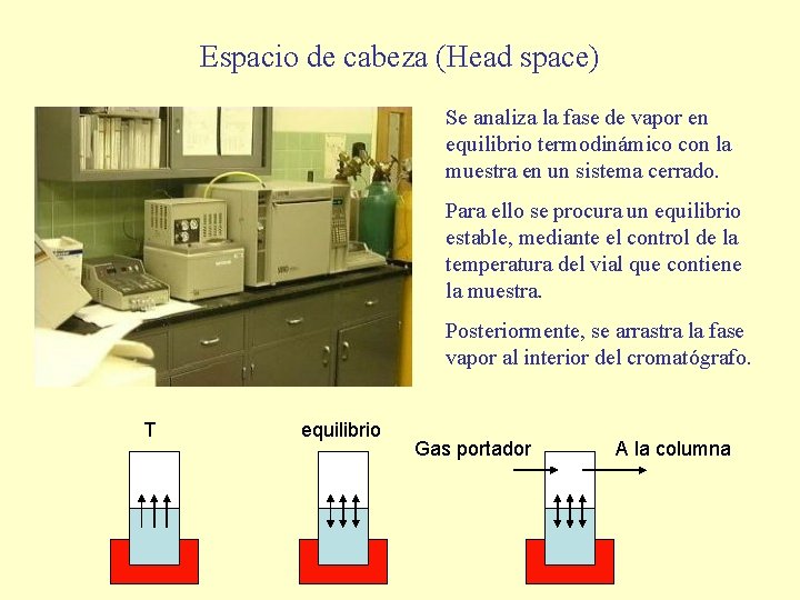 Espacio de cabeza (Head space) Se analiza la fase de vapor en equilibrio termodinámico