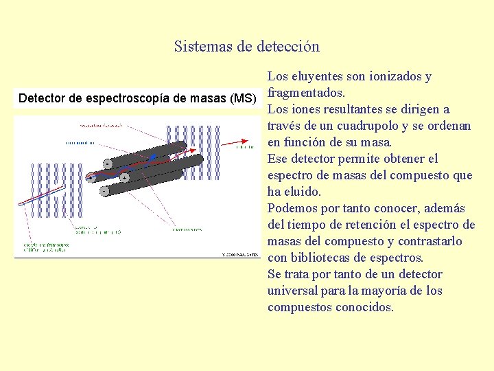 Sistemas de detección Los eluyentes son ionizados y Detector de espectroscopía de masas (MS)