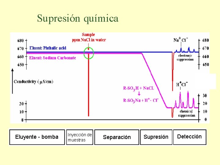 Supresión química Eluyente - bomba Inyección de muestras Separación Supresión Detección 
