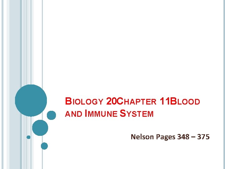 BIOLOGY 20 CHAPTER 11 BLOOD AND IMMUNE SYSTEM Nelson Pages 348 – 375 