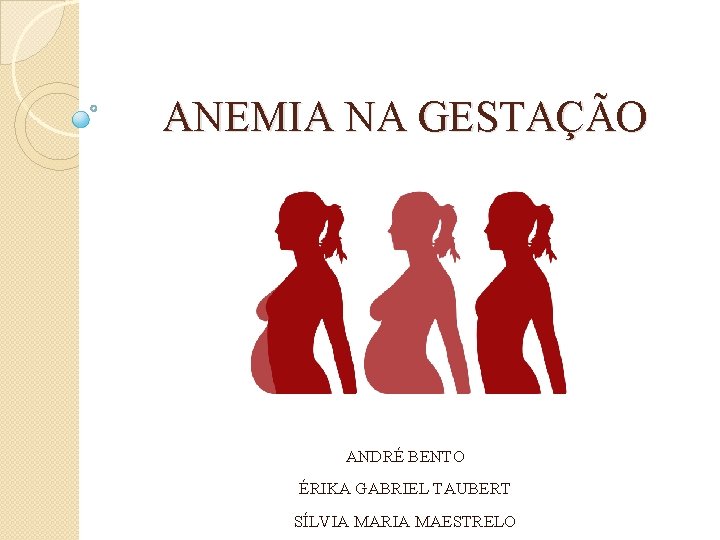 ANEMIA NA GESTAÇÃO ANDRÉ BENTO ÉRIKA GABRIEL TAUBERT SÍLVIA MARIA MAESTRELO 