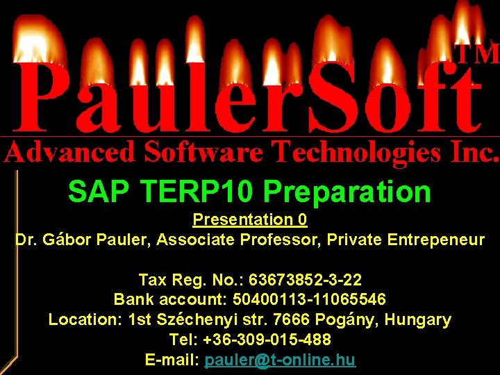 SAP TERP 10 Preparation Presentation 0 Dr. Gábor Pauler, Associate Professor, Private Entrepeneur Tax
