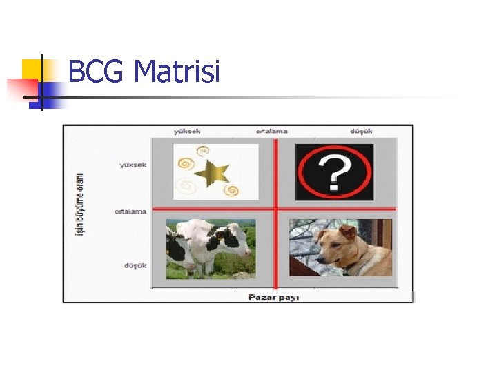 BCG Matrisi 